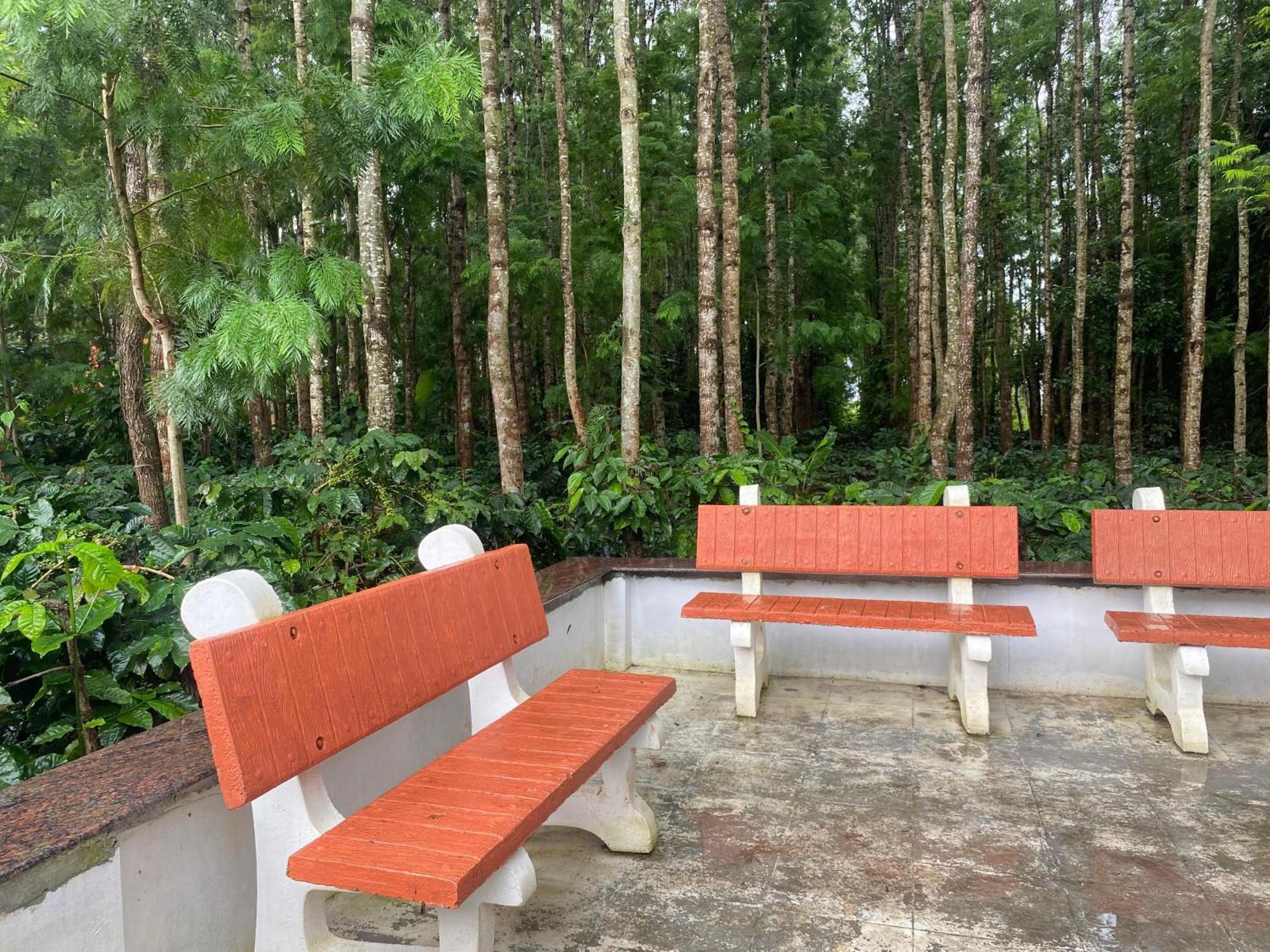 Bougain Villa Chikmagalur Exterior photo